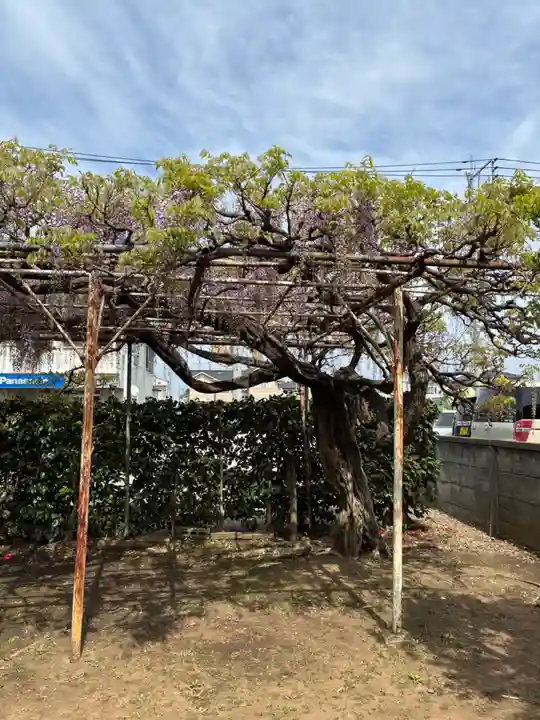 稲荷神社(千葉県)