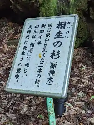 貴船神社(京都府)