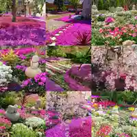 寿量山 速成寺の庭園