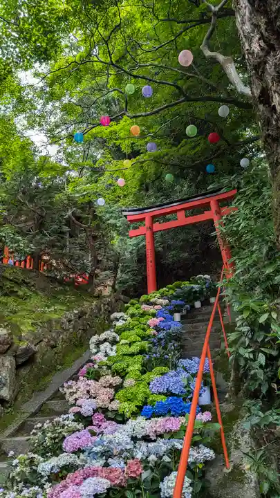 柳谷観音 楊谷寺(京都府)