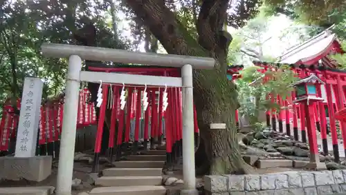乃木神社の鳥居