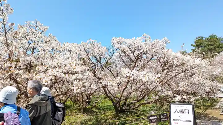 仁和寺(京都府)
