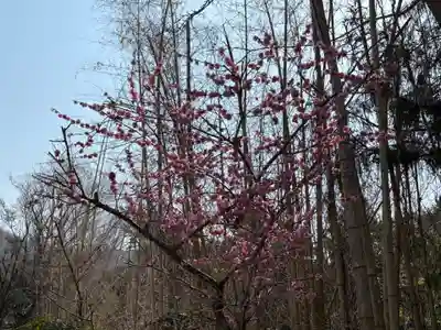 普明寺(兵庫県)