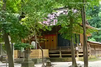 氷川女體神社(埼玉県)