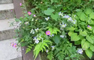 石都々古和気神社(福島県)