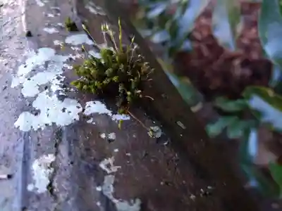 国造神社(熊本県)