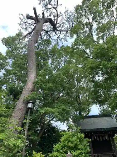 寒川神社の庭園