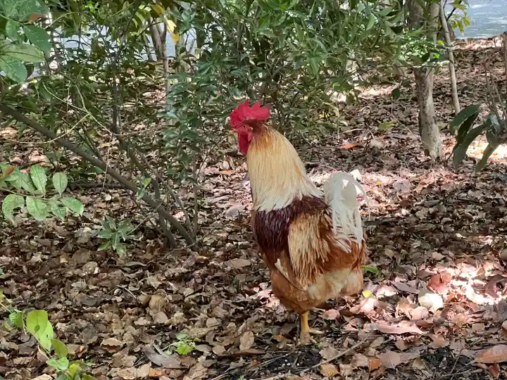 熱田神宮(愛知県)