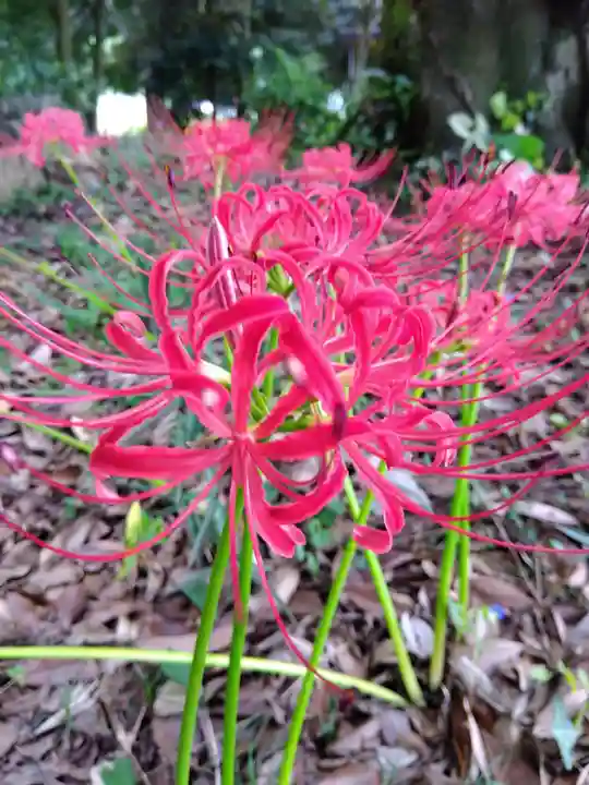 江守神社(福井県)