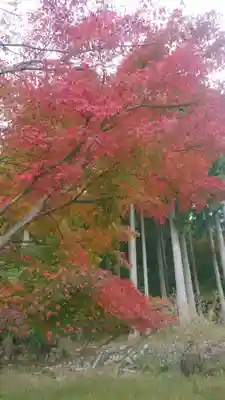 諏訪神社(鳥取県)