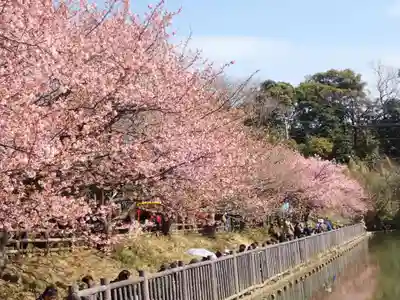 海南神社(神奈川県)
