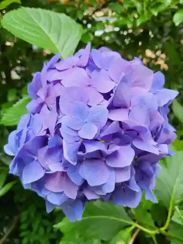 大崎八幡宮(宮城県)