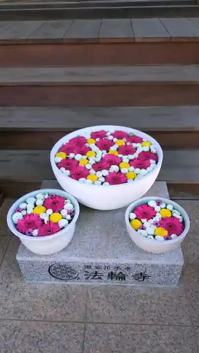 法輪寺の{uncategorized: "未分類", other: "その他", undefined: "問題あり", building: "その他建物", grave: "お墓", sacred_gate: "鳥居", guardian: "狛犬", statue: "像", buddha: "仏像", history: "歴史", nature: "自然", garden: "庭園", animal: "動物", pagoda: "塔", temizu: "手水舎", mountain_gate: "山門・神門", sanctuary: "本殿・本堂", subordinate: "末社・摂社", art: "芸術", scenery: "景色", jizo: "地蔵", ema: "絵馬", goshuin: "御朱印", omikuji: "おみくじ", items: "授与品その他", amulet: "お守り", goshuincho: "御朱印帳", eats: "食事", festival: "お祭り", votive_dance: "神楽", shichigosan: "七五三参", wedding: "結婚式", experience: "体験その他", initially: "初詣", around: "周辺", anti_infection: "感染症対策"}