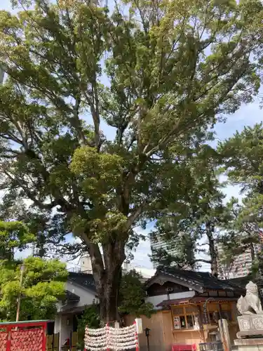 菅生神社の自然