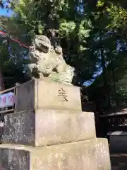 天沼八幡神社の狛犬