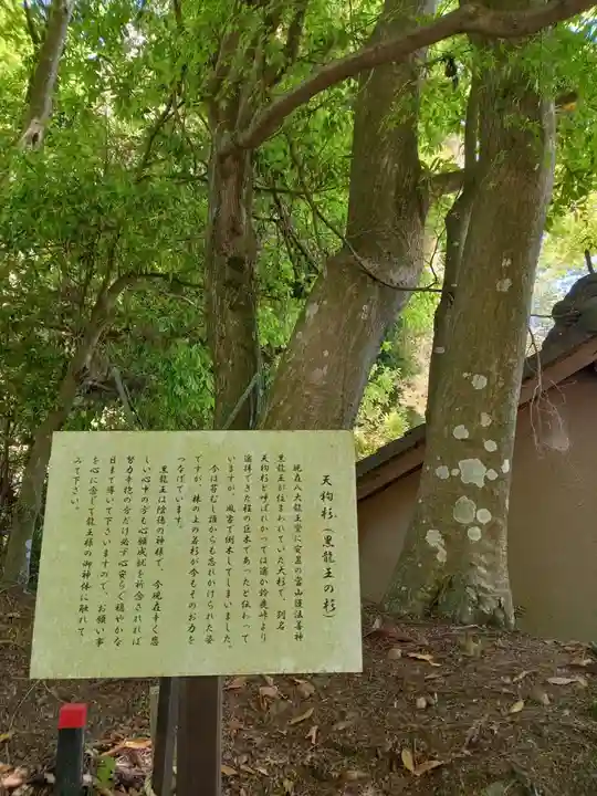 正法寺(滋賀県)