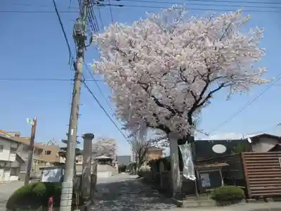 妙光寺(群馬県)
