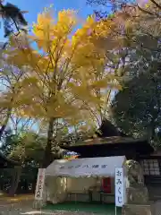 世田谷八幡宮(東京都)