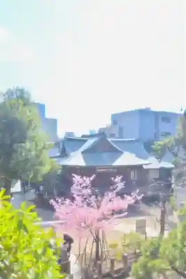 鳩森八幡神社の本殿・本堂