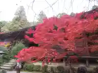 金剛輪寺の自然