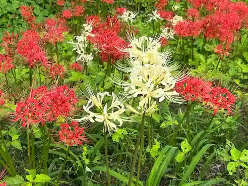高麗神社(埼玉県)