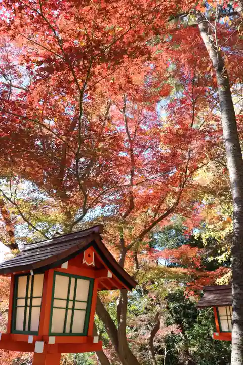 明王院(満願寺別院)の自然