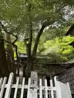 月輪寺(京都府)
