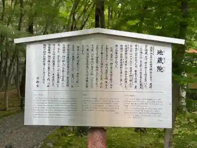 地蔵院(京都府)