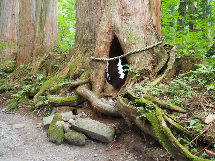 戸隠神社九頭龍社(長野県)
