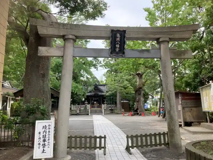 亀岡八幡宮(亀岡八幡神社)の鳥居