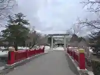 札幌護國神社の鳥居