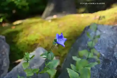 寒川神社(神奈川県)