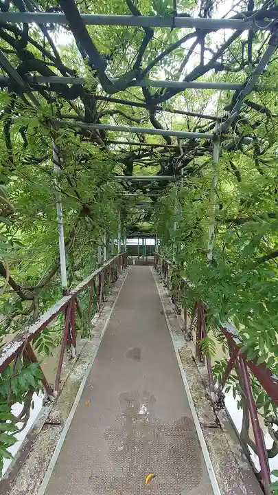 西寒多神社(大分県)