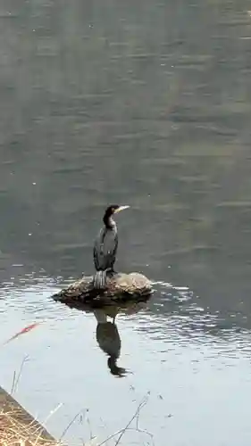 和氣神社（和気神社）(岡山県)