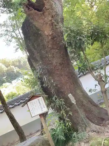 昌光律寺(愛知県)