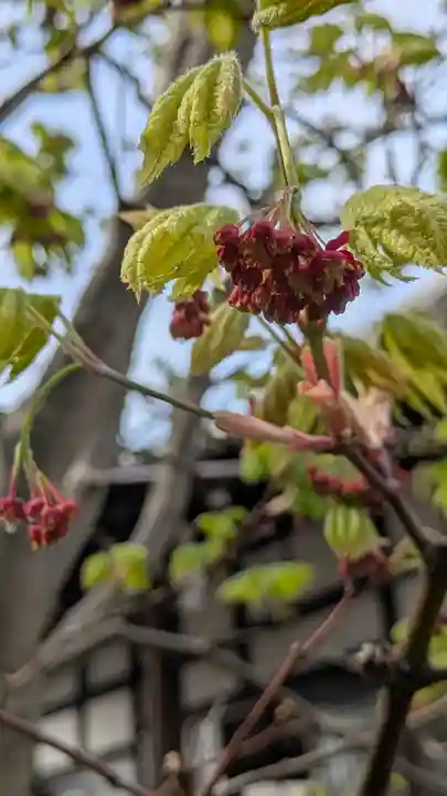 上宮王院聖徳寺(京都府)