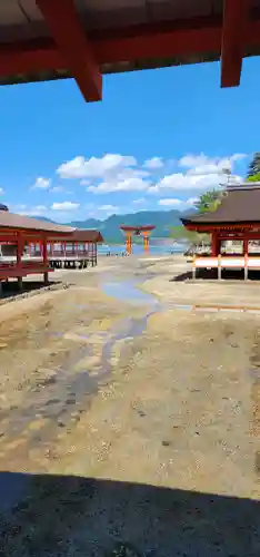 厳島神社の{uncategorized: "未分類", other: "その他", undefined: "問題あり", building: "その他建物", grave: "お墓", sacred_gate: "鳥居", guardian: "狛犬", statue: "像", buddha: "仏像", history: "歴史", nature: "自然", garden: "庭園", animal: "動物", pagoda: "塔", temizu: "手水舎", mountain_gate: "山門・神門", sanctuary: "本殿・本堂", subordinate: "末社・摂社", art: "芸術", scenery: "景色", jizo: "地蔵", ema: "絵馬", goshuin: "御朱印", omikuji: "おみくじ", items: "授与品その他", amulet: "お守り", goshuincho: "御朱印帳", eats: "食事", festival: "お祭り", votive_dance: "神楽", shichigosan: "七五三参", wedding: "結婚式", experience: "体験その他", initially: "初詣", around: "周辺", anti_infection: "感染症対策"}