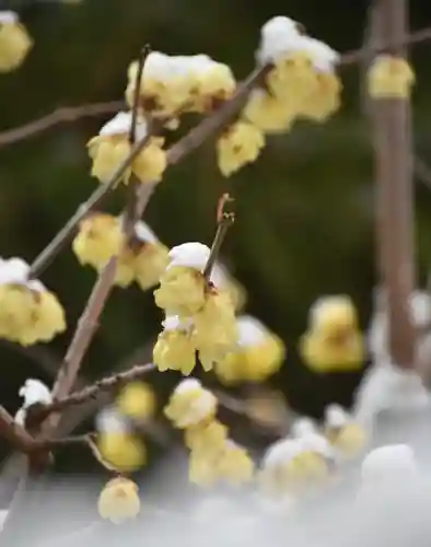 正安寺(神奈川県)