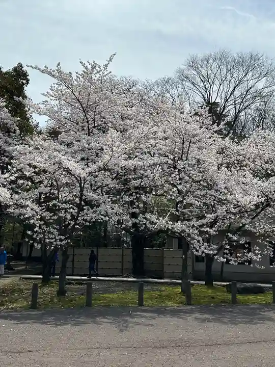 氣比神宮(福井県)