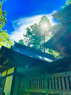 成田熊野神社の本殿・本堂