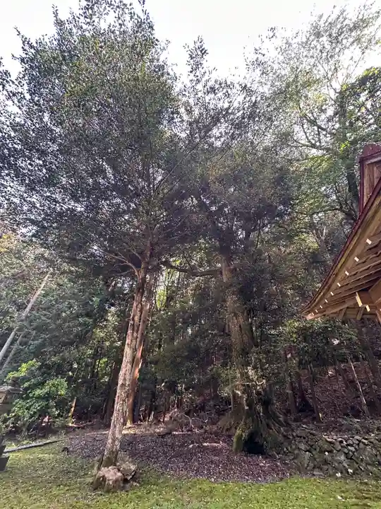 春日神社(京都府)