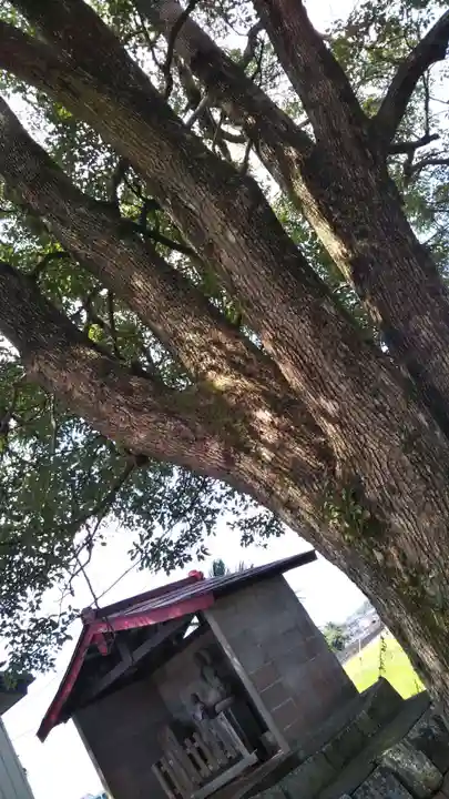 延命寺(埼玉県)