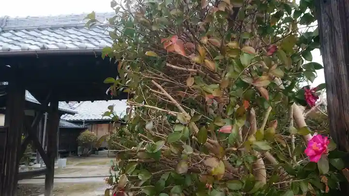 菩提寺の山門・神門