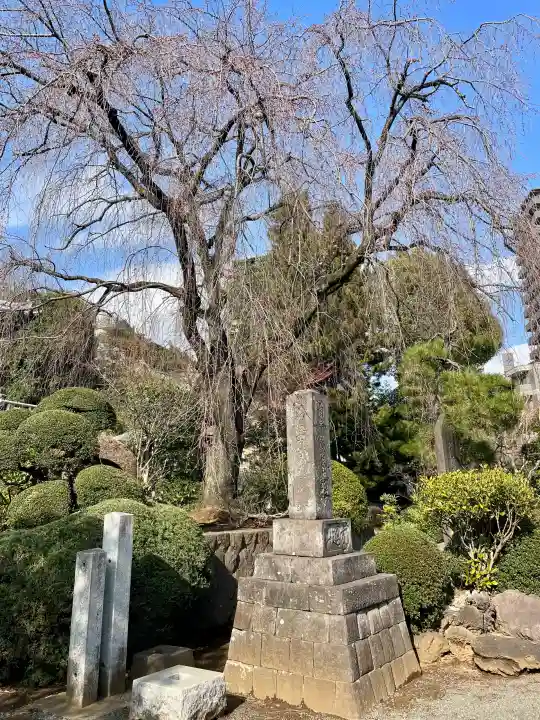 青柳寺の{uncategorized: "未分類", other: "その他", undefined: "問題あり", building: "その他建物", grave: "お墓", sacred_gate: "鳥居", guardian: "狛犬", statue: "像", buddha: "仏像", history: "歴史", nature: "自然", garden: "庭園", animal: "動物", pagoda: "塔", temizu: "手水舎", mountain_gate: "山門・神門", sanctuary: "本殿・本堂", subordinate: "末社・摂社", art: "芸術", scenery: "景色", jizo: "地蔵", ema: "絵馬", goshuin: "御朱印", omikuji: "おみくじ", items: "授与品その他", amulet: "お守り", goshuincho: "御朱印帳", eats: "食事", festival: "お祭り", votive_dance: "神楽", shichigosan: "七五三参", wedding: "結婚式", experience: "体験その他", initially: "初詣", around: "周辺", anti_infection: "感染症対策"}