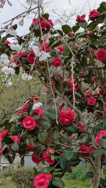 惠心院(京都府)