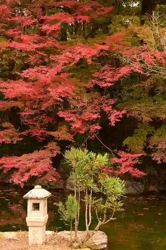 善峯寺(京都府)