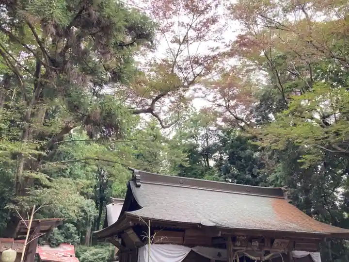 中村八幡宮(栃木県)
