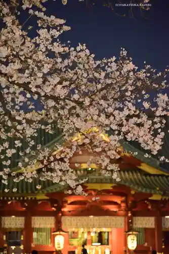 神田神社（神田明神）(東京都)