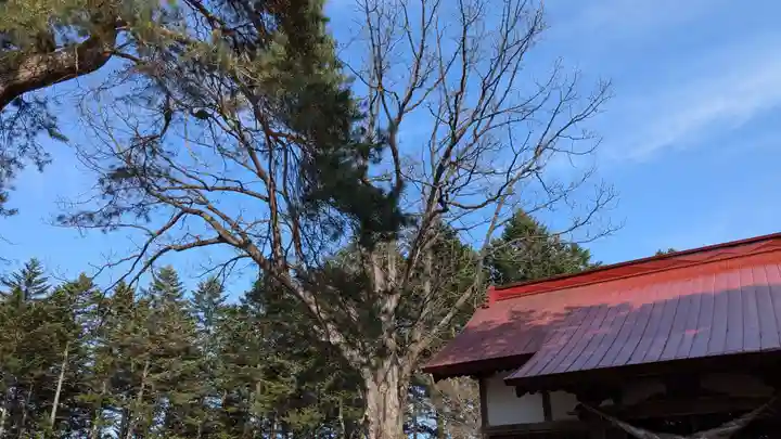 稲荷神社の自然
