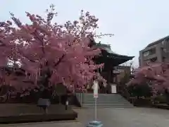 桜神宮(東京都)